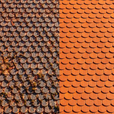 Side-by-side comparison of old, mossy roof tiles and new, clean orange roof tiles.