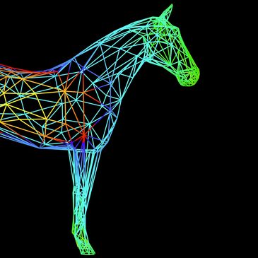 Colorful wireframe horse head with a black background.