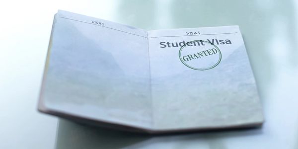 “Guidance for visa application and international university documentation”
