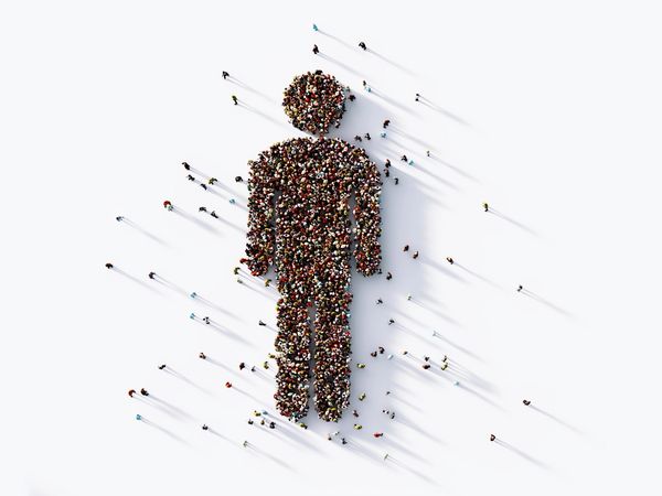 Group of individuals forming one body