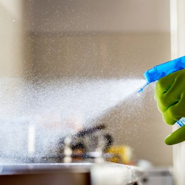 Hand spraying cleaning solution with a blue spray bottle.
