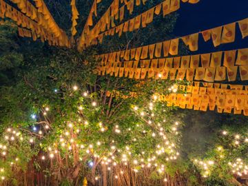 Strings of yellow flags and fairy lights illuminate trees at night.
