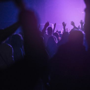 Crowd enjoying a concert with raised hands.