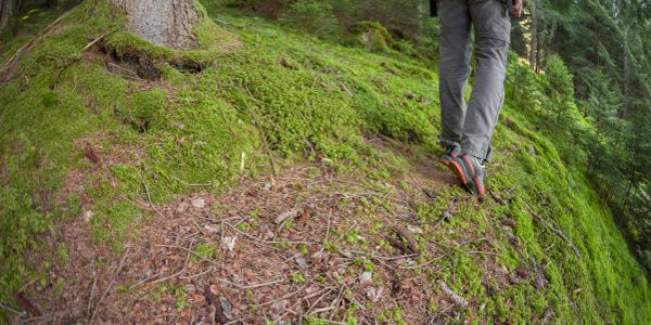 Person hiking on a mossy forest trail.