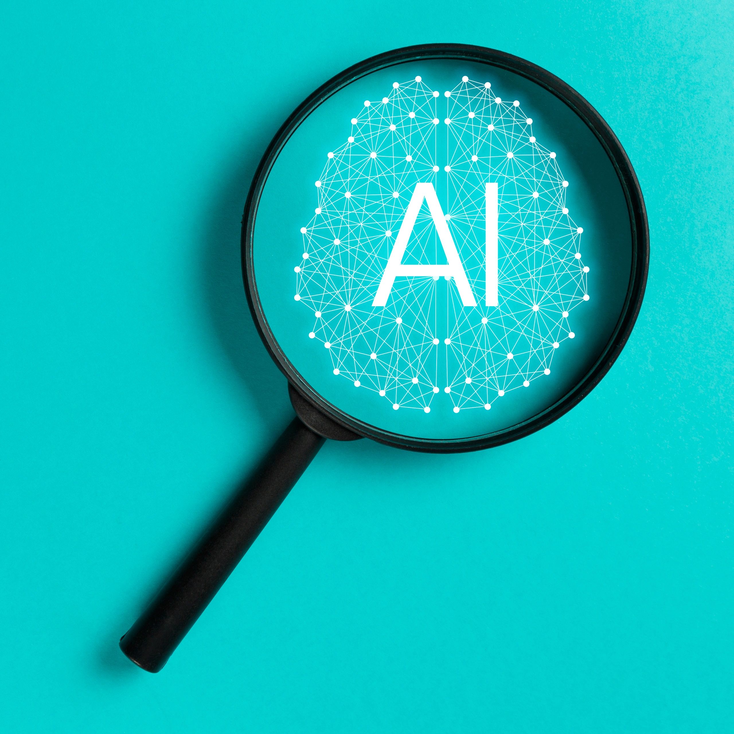 AI discovery and analysis phase