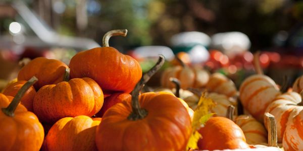 A pile of small pumpkins with vibrant autumn colors.