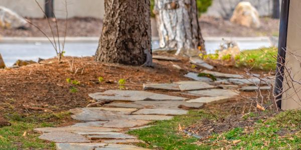 Stone path winding through a natural garden area with trees and mulch.