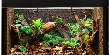 A terrarium with plants and wood pieces.