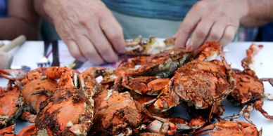 Seafood store, seafood Restaurants, Crab Stores, Food & Beverage Insurance.