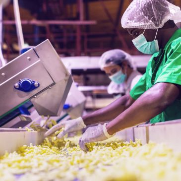Travailleurs en usine de transformation alimentaire avec masques et gants.