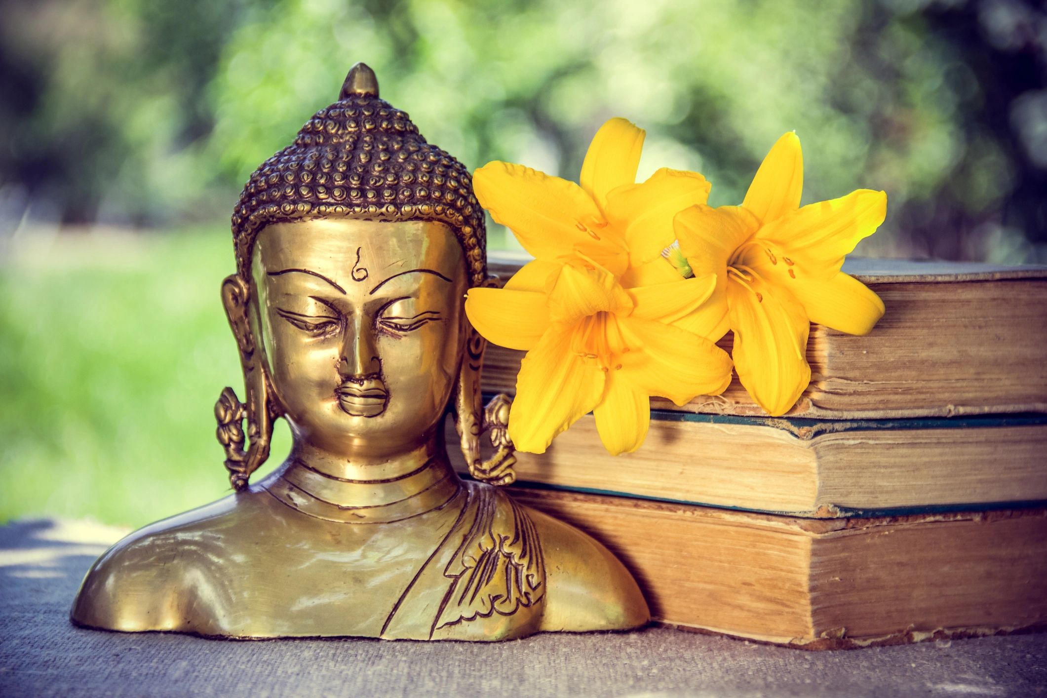 Buddha statue with yellow lilies and old books.
