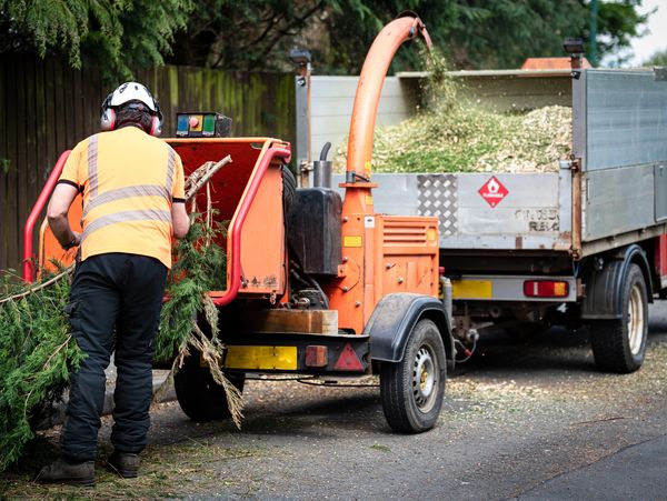 Worker feeding branches into a wood chipper beside a truck.