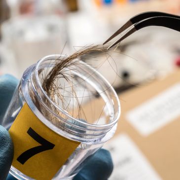 hair sample for screening