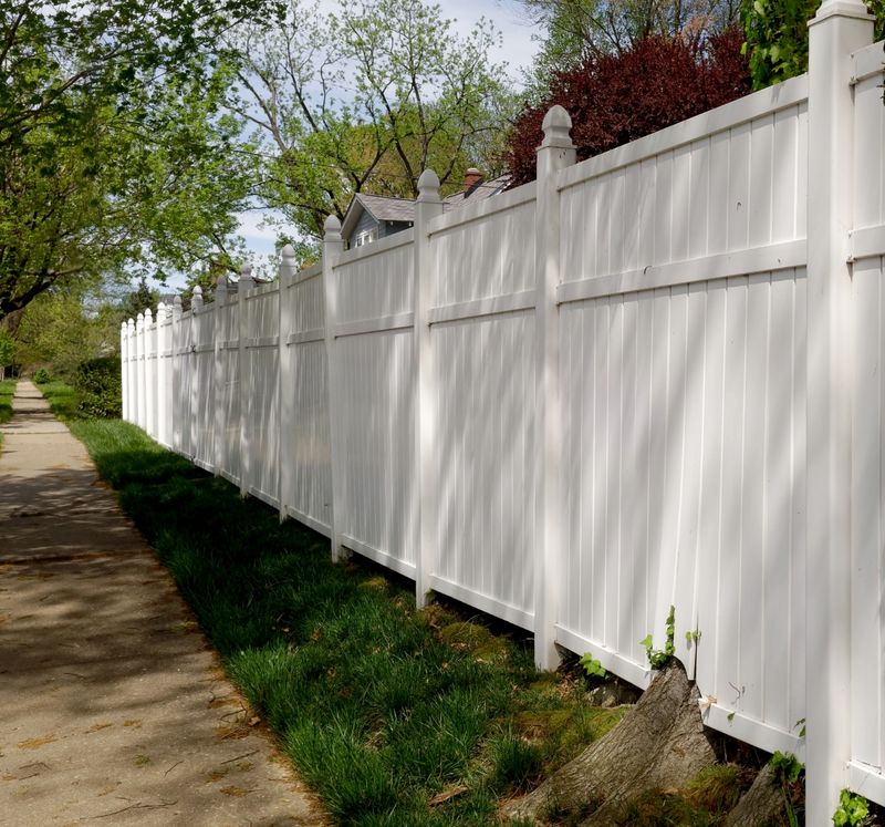 Springtime shadows on perspective view of white vinyl fence.