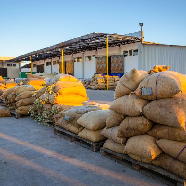 Large sacks stacked on pallets outside a warehouse at sunset.