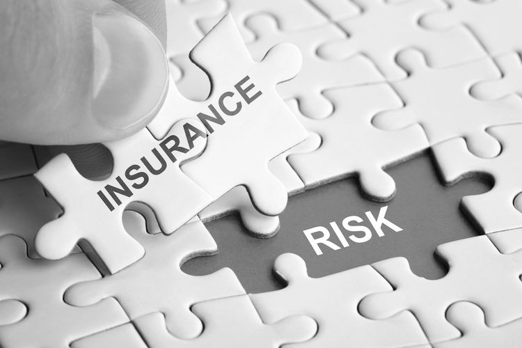 Insurance for everyone. Insurance Risk Puzzle