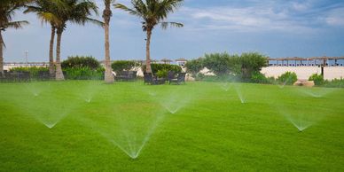 Green lawn with sprinklers, palm trees, and beach umbrellas in the background.