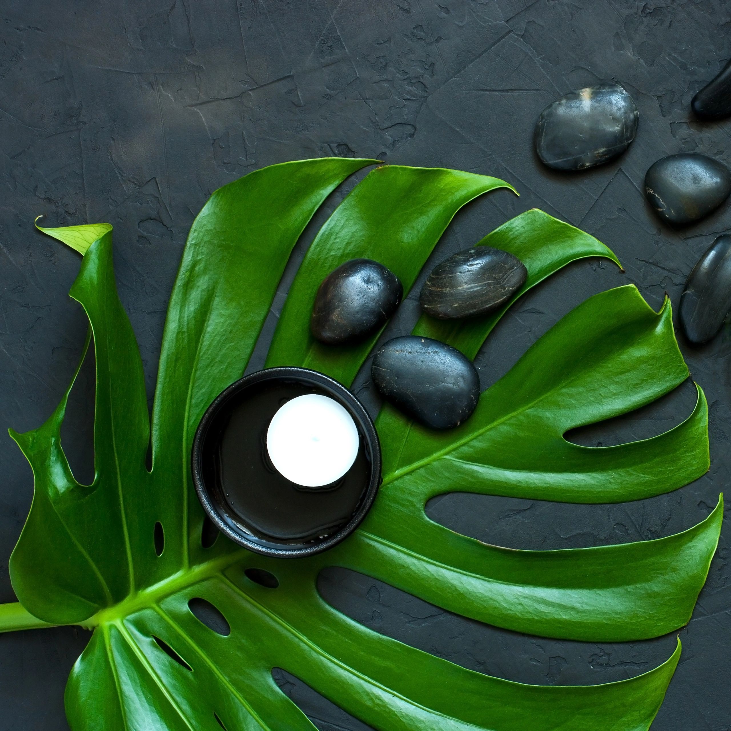 Green leaves with black stones and a lit candle for a spa setting.