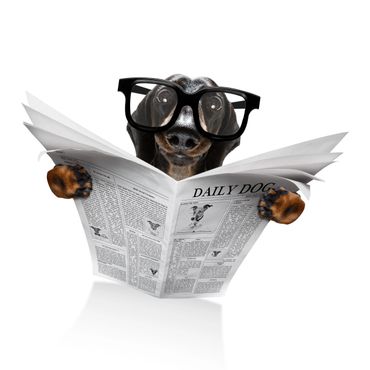 A dog wearing glasses reads a newspaper titled 'Daily Dog'.