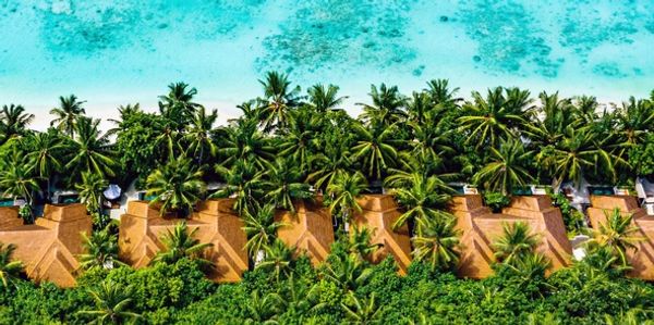 Aerial view of tropical huts between lush greenery and turquoise ocean.
