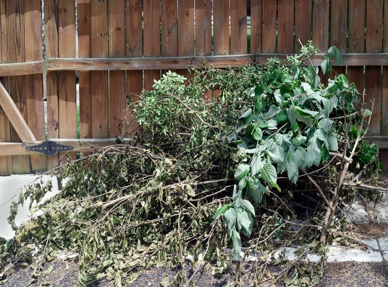 Yard waste debris stacked against fence in neighborhood alley.
