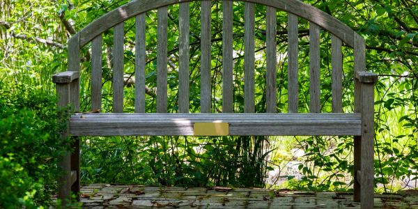 Wooden garden bench surrounded by greenery.