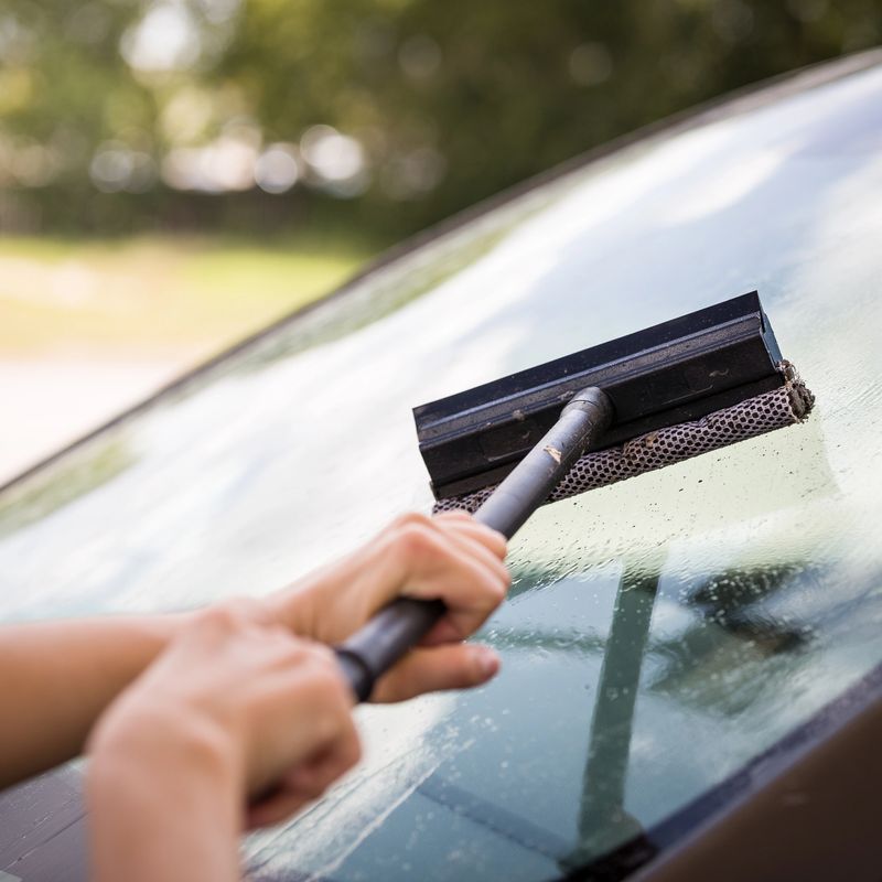 The girl washes the windshield of the car at a gas station. The glass is covered with a large number of dead insects and flies. The car after a trip on the autobahn is preparing to wash.