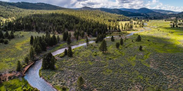A winding river flows through a forested valley with mountains in the distance.