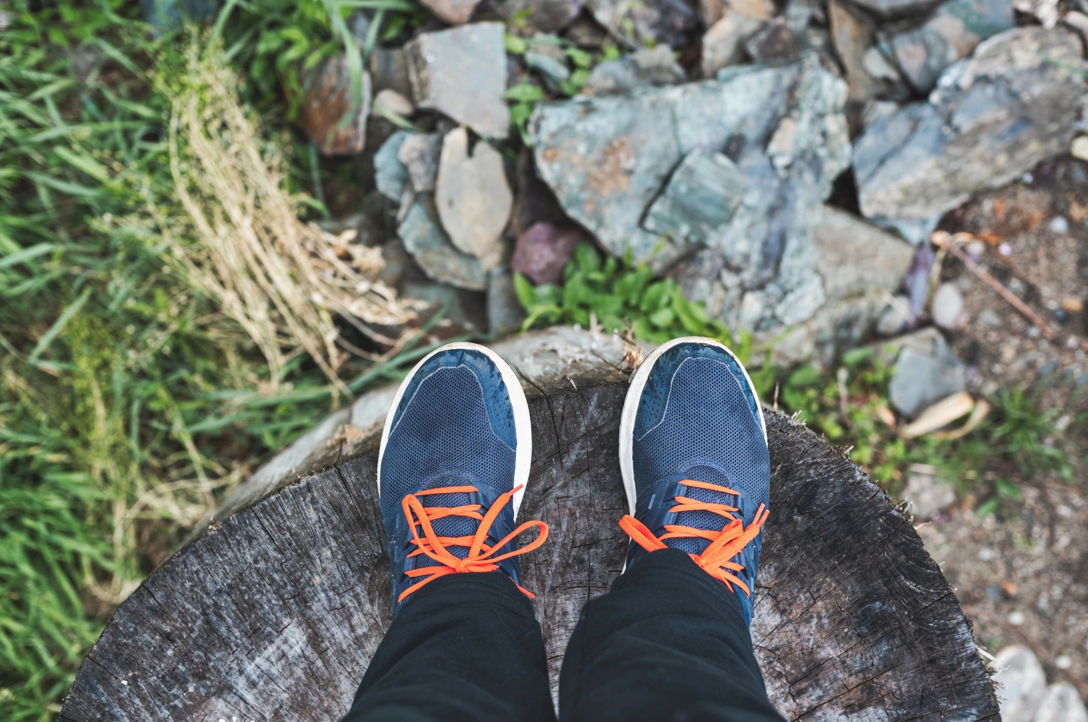 Standing on a tree stump - Complimentary guidance from Roots Realty NW