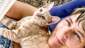 Close-up of a curious orange kitten held by a person with red-painted nails.