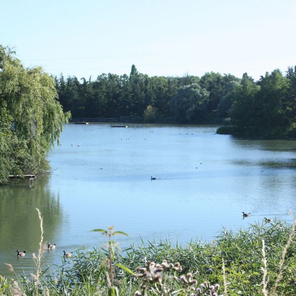 The fonthill estate lake