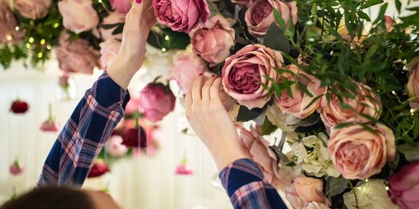 Person arranging pink roses in a floral display with greenery.