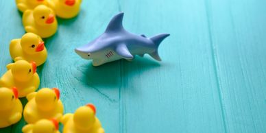 A toy shark faces a group of yellow rubber ducks on a turquoise surface.