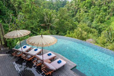 Luxury poolside lounge chairs with umbrellas overlooking lush tropical forest.