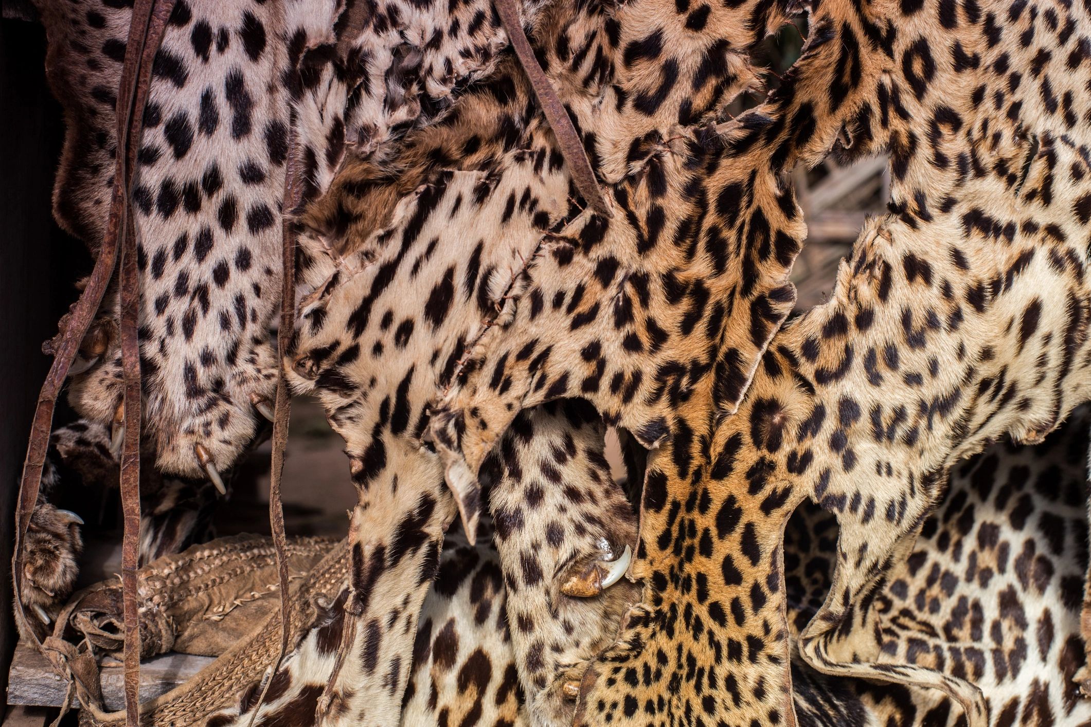 Mastering the Art of Ethical Hunting: Tips and Techniques