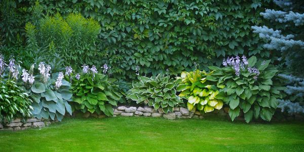 A vibrant garden with colorful flower beds and a lush green lawn.