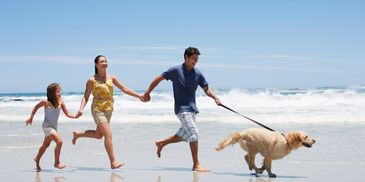 A family running on the beach holding hands with their dog.