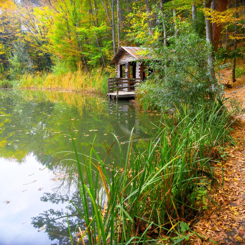 Small cabin on lake coast autumn, green grass