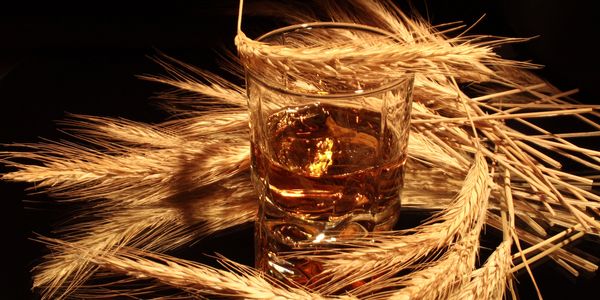 scotch-whiskey-glass