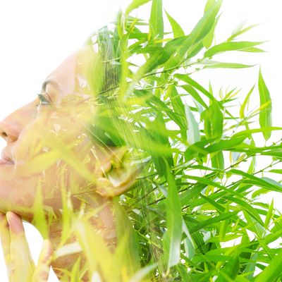 Double exposure of a woman's face with green bamboo leaves.