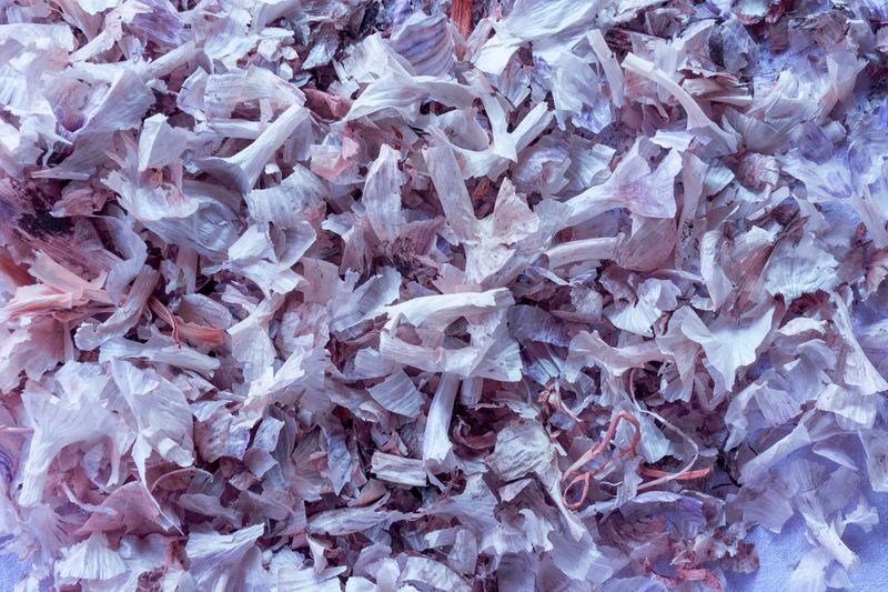 Dried peels or husks pile. Closeup of organic natural particles as background for agricultural and medical content