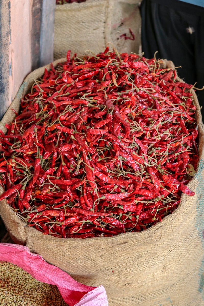 red sun-dried chili peppers in a sackcloth at a market in Jaipur, India
