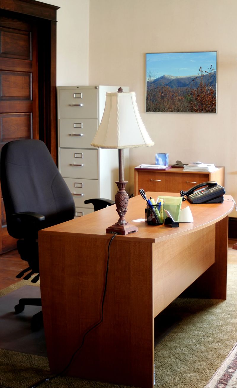 A basic office in an older building with file cabinet, desk, light and etc. but no computer.  Please check out other images in my 