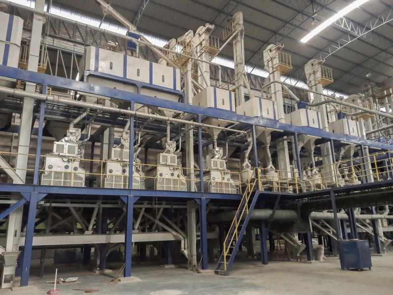 Rice mill for a processing