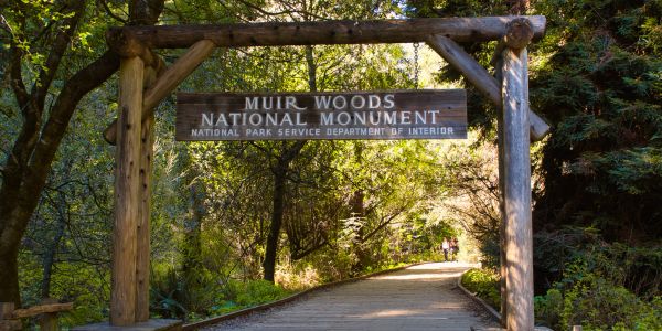 Muir Woods National Monument