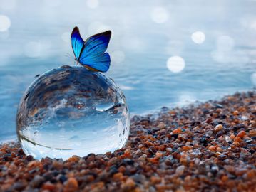 a crystal orb with a blue butterfly on top and the beach as the background