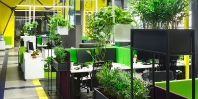 Modern office space filled with green plants and vibrant colors.
