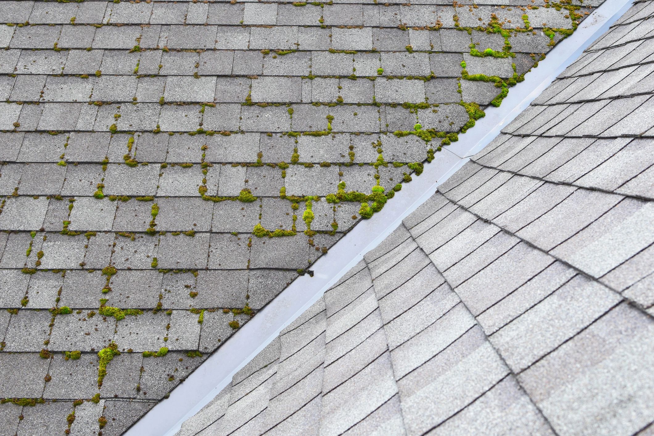 Roof with moss growing on one side and clean shingles on the other.