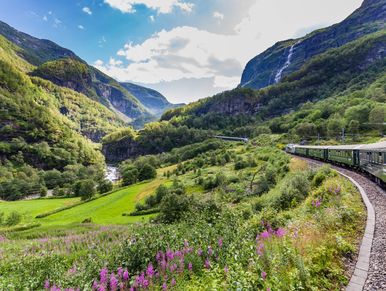 Train traveling through a lush green valley with mountains.