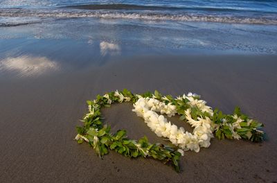 Flower leis on the beach near the ocean.